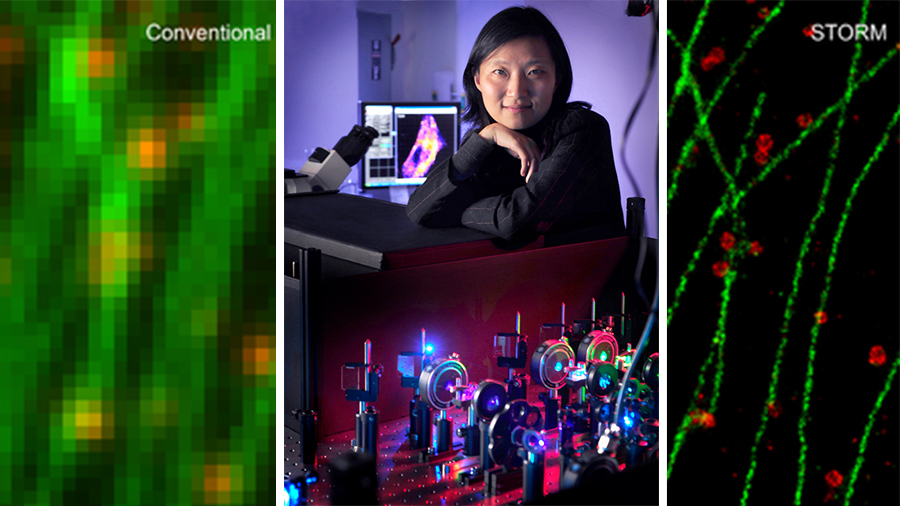 庄小威与其 STORM 显微技术实验室